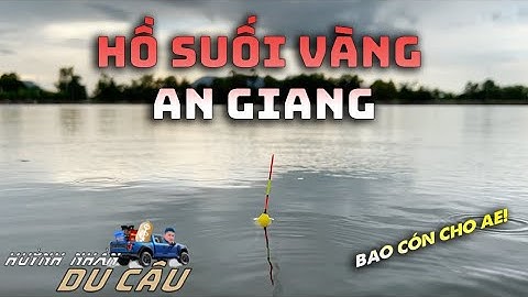 Câu Đài Thiên Nhiên | Trãi nghiệm Hồ Suối Vàng ở An Giang - Kết Thúc Chuyến Du Câu Miền Tây