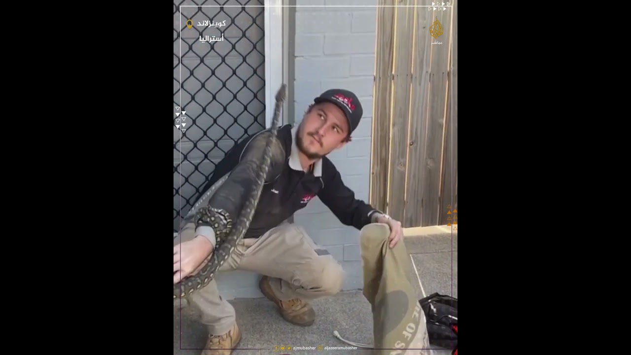 تعرض لـ6 لدغات قبل أن يتمكن من السيطرة على ثعبان  🐍