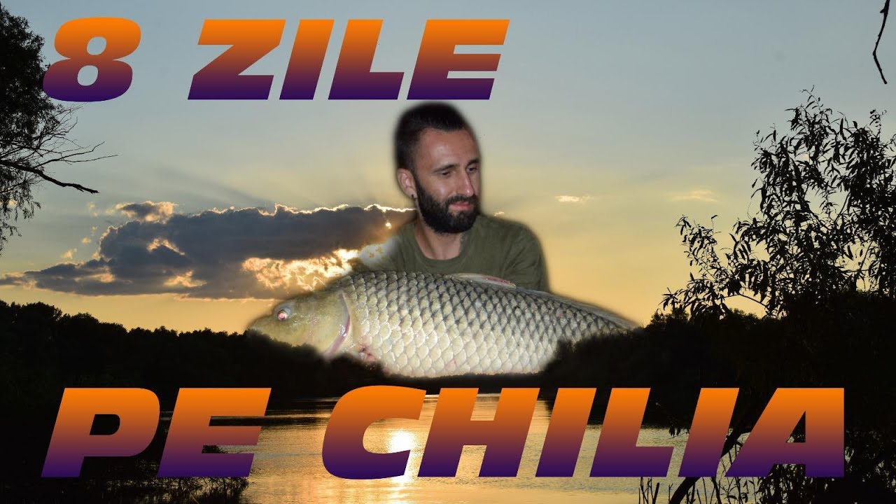 DUNARE CHILIA Pescuit la CRAP 8 ZILE ! Reteta MAMALIGA Magica ! Zeci de CRAPI ! Delicatese PESTE !