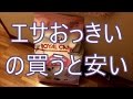 猫のおすすめ餌えさ【ロイヤルカナン キトン 10kg】が安い