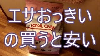 猫のおすすめ餌えさ【ロイヤルカナン キトン 10kg】が安い