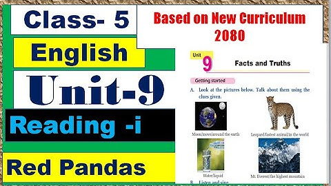 Class 5 English Unit 9 Reading i// Red Pandas