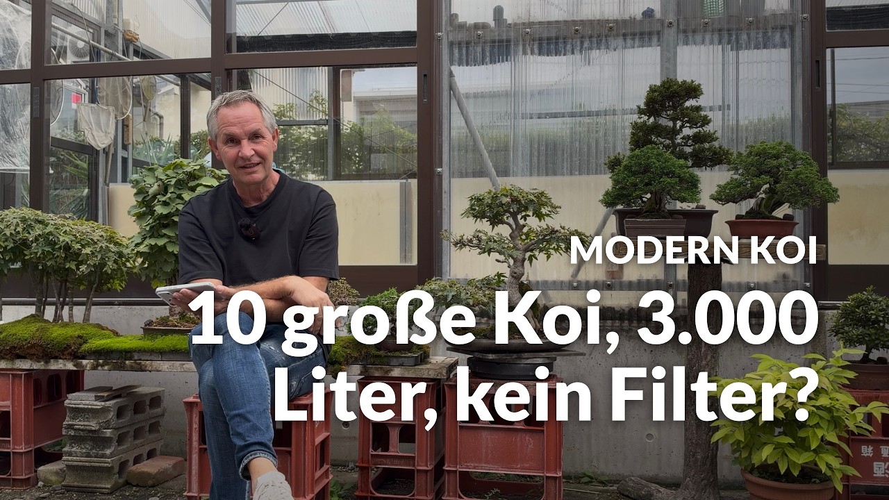 Teichumbau im Herbst: So hälterst du 10 Koi richtig | Modern Koi Blog #8424