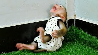Dobi Starvinq Cry Tantrum With Mom N0t Yet Back From Grocery Store To Buyinq Milk For Her