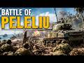 Fall Asleep To | The ENTIRE Battle of Peleliu — Forgotten Battle | WW2 Sleep Documentary