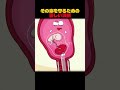 その命を守るための苦しい決断