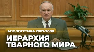 Иерархия тварного мира (МДА, 2008.03.04) — Осипов А.И.