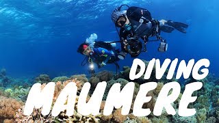 Download Lagu Diving Maumere MP3