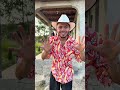 Las palomitas