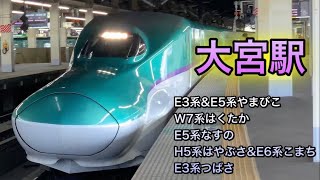 新幹線発着ラッシュ 大宮駅　E3系•E5系•H5系•E6系•W7系