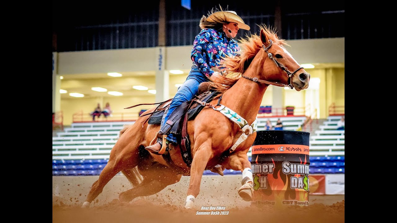 SOLD 1D 2D Barrel Bash 2010 15.2H AQHA Mr Jess Perry bred gelding
