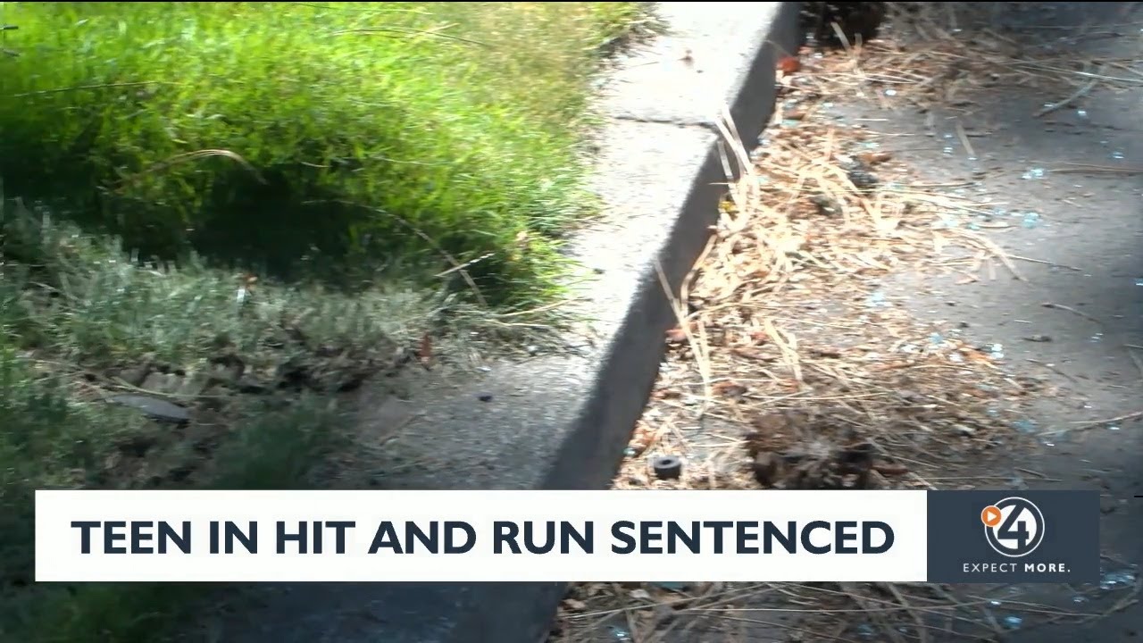 Teen in fatal hit and run sentenced - YouTube
