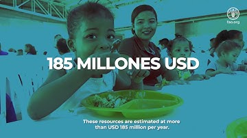 Gastronomy in the School Feeding Program, tasty food and waste-free