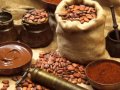 AGROSALUD BENEFICIOS DEL CACAO