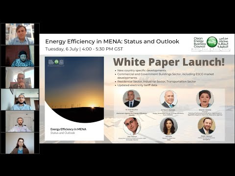 Energy Efficiency in MENA: Status and Outlook