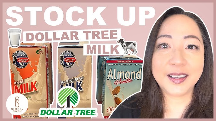 What You Can Get for $20 at the Dollar Tree | Stock Up Now ...