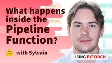 What happens inside the pipeline function? (PyTorch)