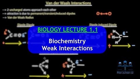 IMAT Biology Lesson 1.1 | Biochemistry | Weak Interactions