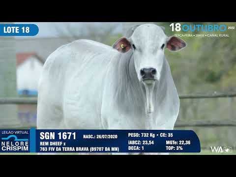 LOTE 18 SGN 1671