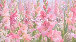 Pradera de gladiolos rosados 💐 suave vals de piano y flauta · música para estudiar y concentrarse screenshot 3