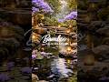 Relaxing bamboo water sounds,meditation ,therapy,zen stress relief,healing” #bamboo #relaxing #relax