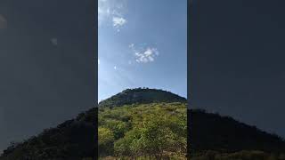 #hashtags # tavamos# no pé da serra cacando# mel