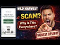 Wild Harvest Gut Cleanse Review: Is WildHarvest Legit | Is It A Scam?