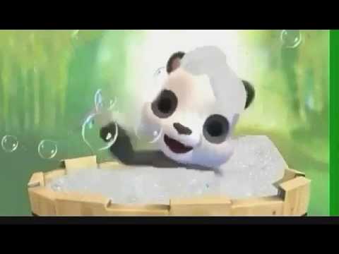 Tachi caroci iubire iubire pastaiana