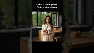 Грибы с точки зрения тибетской медицины