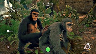 ANCESTORS: The Humankind Odyssey - Crafting Tools & Exploring the Jungle