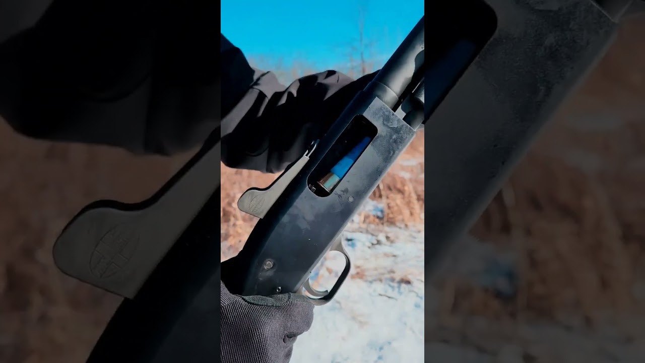 Медвежья нагрузка 💥🤔