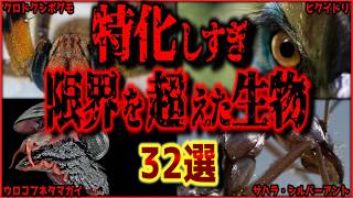 【閲覧注意】ステータス全振り！硬すぎる＆速すぎる＆耐久力ありすぎる生物 32選（リライト総集編）【ゆっくり解説/作業用BGM/睡眠用/9割が知らない】
