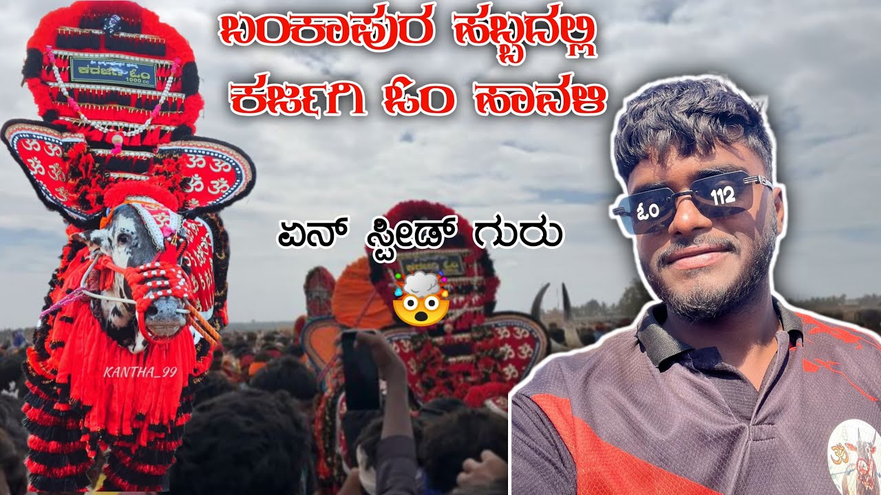 🐂🤯ಬಂಕಾಪುರ ಹಬ್ಬದಾಗ ಕರ್ಜಗಿ ಓಂ ಹಾವಳಿ🥵❤️‍🔥