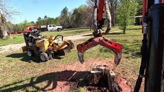 'Animal' the stump grinder making me money