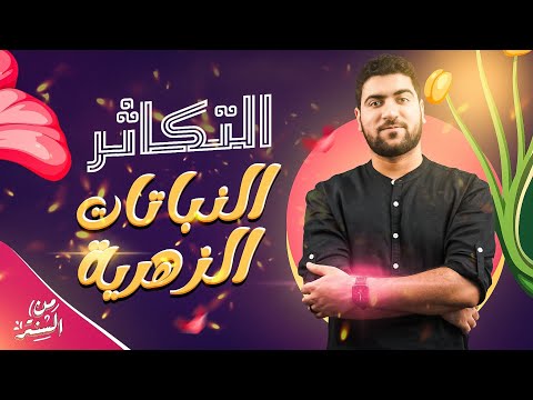 فيديو: قبرة السهوب: الوصف ، التغذية ، التكاثر