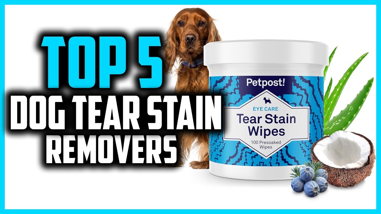 ✅Top 5 Best Dog Tear Stain Removers of 2025