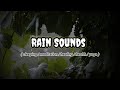Rain Sound For Sleeping | Relaxing For Rain Sound | Rain Sounds For 30 Minutes |