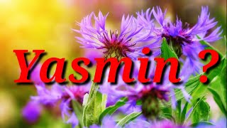 Yasmin Name Status | Yasmin Name Meaning | Yasmin Name WhatsApp Status | Magic of Name