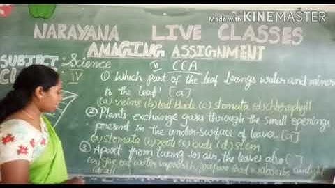 AP & TS CLASS IV SCIENCE ASSIGNMENT VIDEO DAY 4