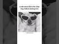 #coding #funny #memes #funnymemes #codingmemes #meme #error #funnyvideo