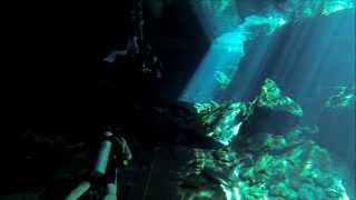 Chac Mool Cenote Dive