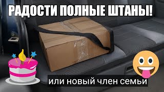 Новый член семьи:))