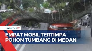 Detik-Detik Pohon Tumbang Timpa Empat Mobil Melintas di Medan