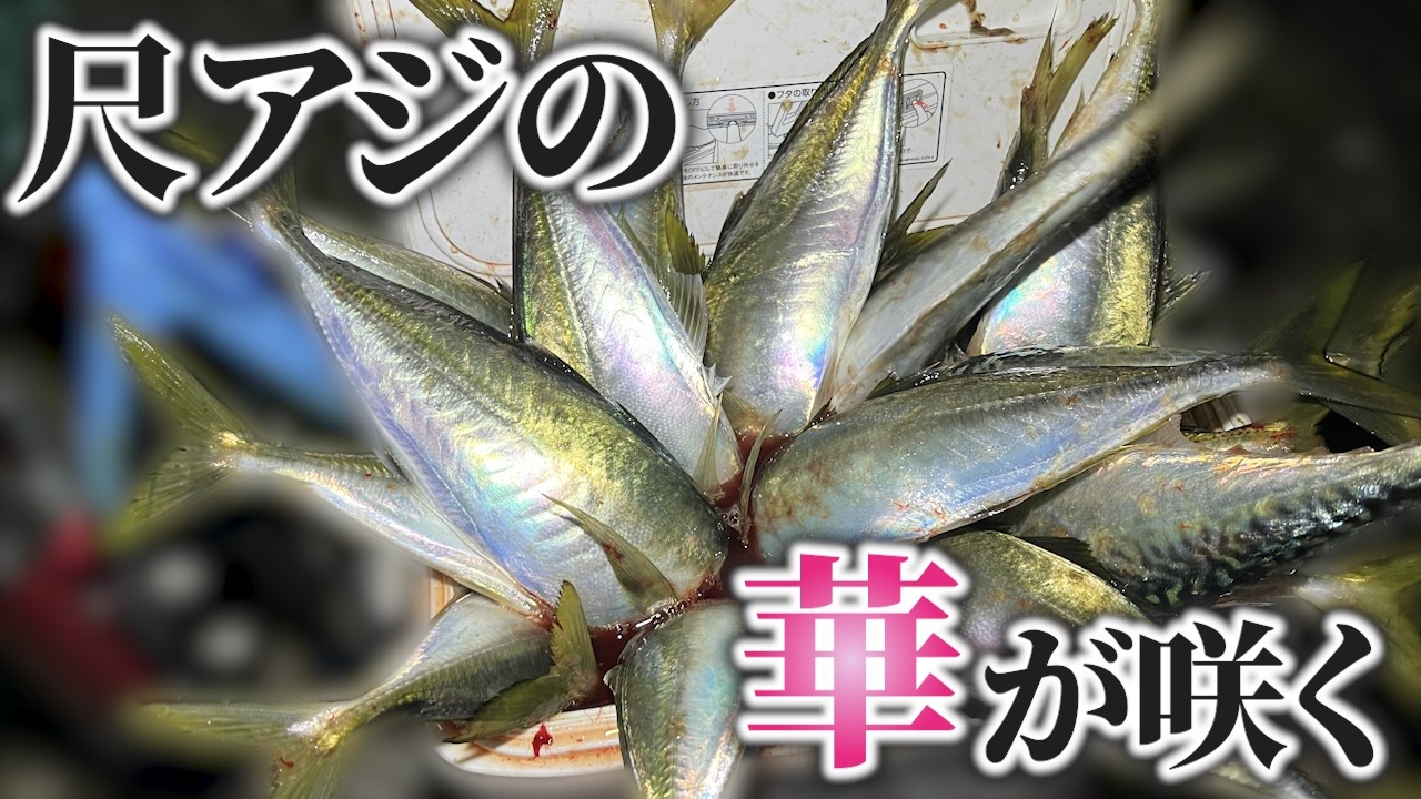 Результат вынужденной ловли на LRF-ловлю в разгар взрыва...