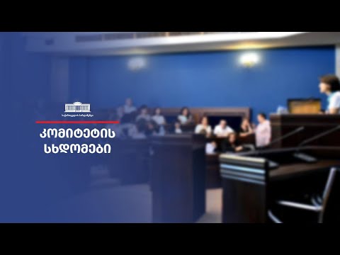 საფინანსო-საბიუჯეტო და  დარგობრივი ეკონომიკისა და ეკონომიკური კომიტეტის ერთობლივი სხდომა - 21.09.23