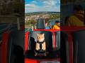 Cat rides a roller coaster in the front row 🎢🐱 #thrillseeker
