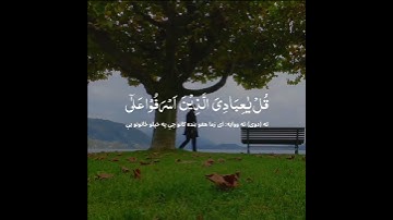 سوره الزمر پشتو ترجمه سره  ||   Surah Az-Zumar with pashto translation