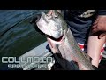 Spring chinook fishing  columbia river  day 1 of 3