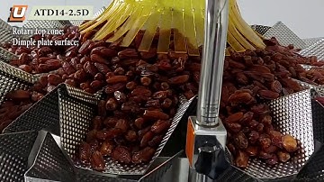 Automatic Packaging Line for Dates in Doypack Pouches