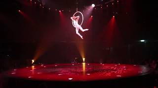 Jennifer Cohen-Cirque Du Soliel